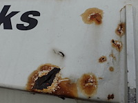 Iveco eurocargo - afbeelding 19 van  26