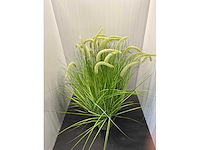 J-line nepplant - afbeelding 1 van  3