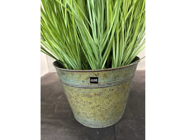 J-line nepplant - afbeelding 3 van  3