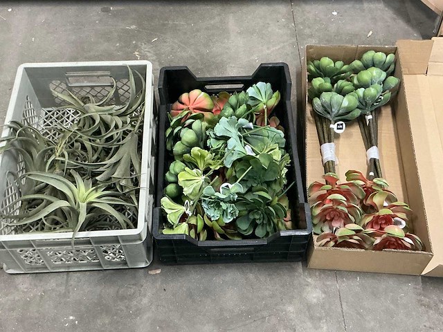 J-line partij kunstplanten - afbeelding 1 van  4