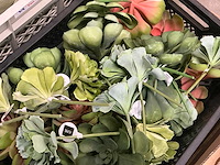 J-line partij kunstplanten - afbeelding 4 van  4