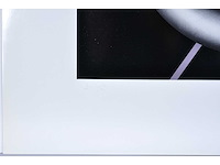 J.-p. lowie - zeefdruk - afbeelding 4 van  7