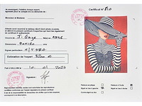 Jack gage – chapeau - olie op doek - 120x90 cm - afbeelding 10 van  14