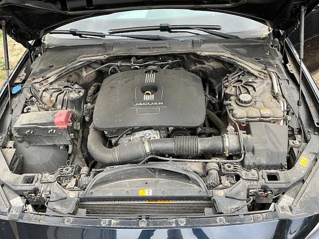 Jaguar - 2016 - xe - - afbeelding 15 van  30