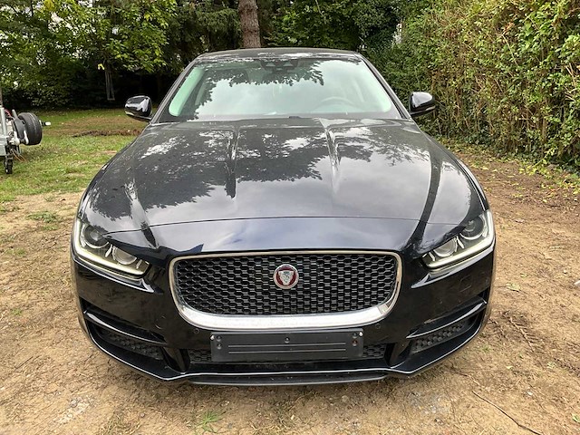 Jaguar - 2016 - xe - - afbeelding 30 van  30