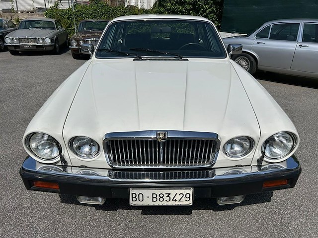 Jaguar 4.2 sovereign, 1983 - afbeelding 9 van  17