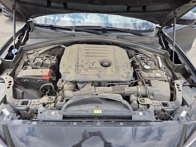 Jaguar f-pace 2.0 d pure 180 at,2018 - afbeelding 13 van  43
