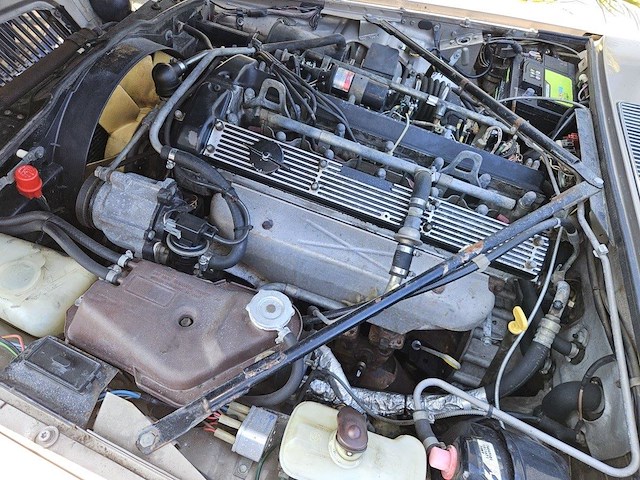 Jaguar sovereign 4,2 - afbeelding 48 van  56
