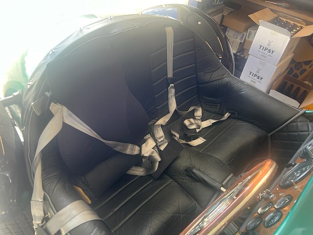 Jaguar - afbeelding 2 van  15