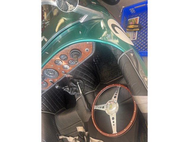 Jaguar - afbeelding 3 van  15