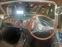 Jaguar - afbeelding 5 van  15