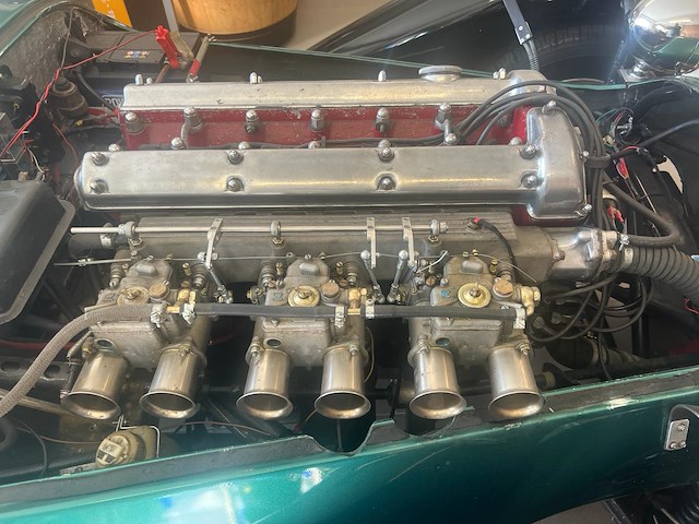 Jaguar - afbeelding 6 van  15