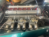 Jaguar - afbeelding 6 van  15