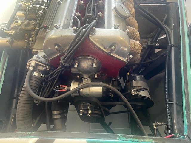 Jaguar - afbeelding 7 van  15