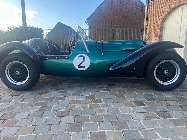 Jaguar - afbeelding 1 van  15