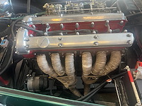 Jaguar - afbeelding 8 van  15