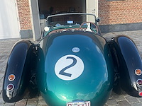 Jaguar - afbeelding 9 van  15