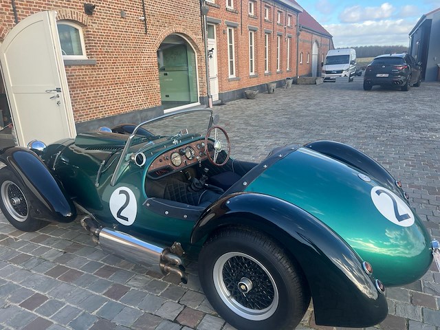 Jaguar - afbeelding 10 van  15