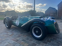 Jaguar - afbeelding 12 van  15