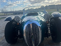 Jaguar - afbeelding 13 van  15