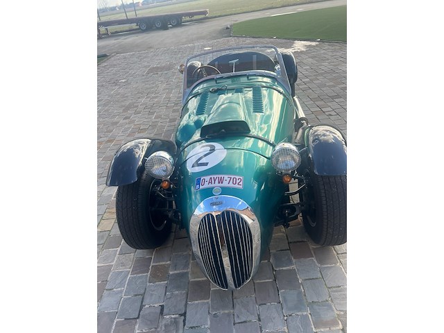 Jaguar - afbeelding 14 van  15