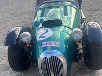 Jaguar - afbeelding 14 van  15