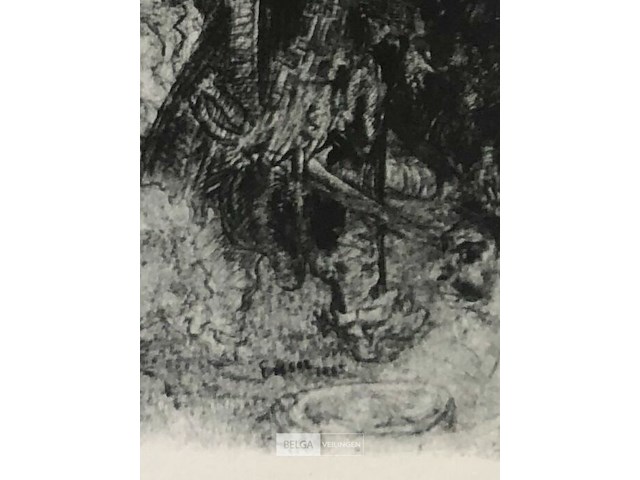 James ensor - afbeelding 2 van  2