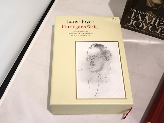 James joyce (x3) - afbeelding 3 van  9