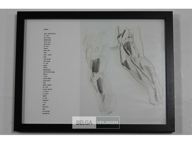 Jan decorte & johan daenen - afbeelding 1 van  1