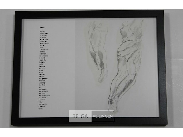 Jan decorte & johan daenen - afbeelding 1 van  1