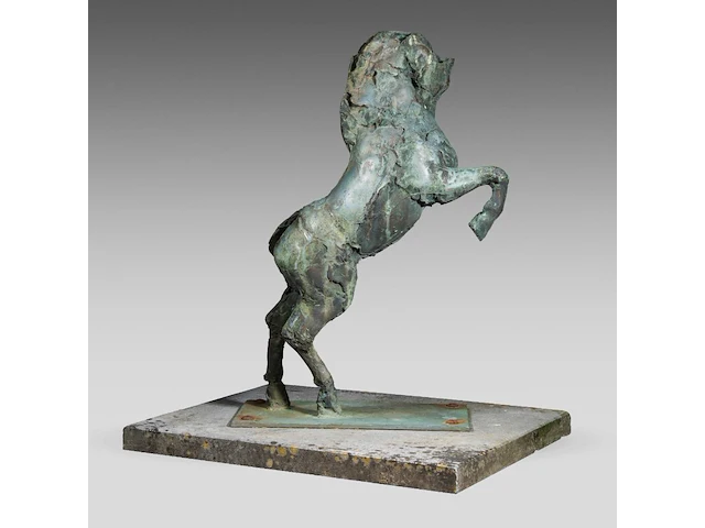 Jan desmarets (1961), prancing horse, green patinated bronze, n° 5/8 76 cm. (29.92 in.) - afbeelding 5 van  7