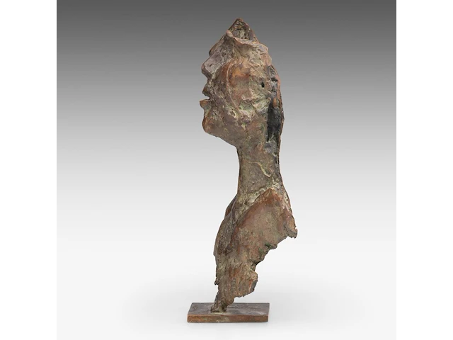 Jan desmarets (1961), two heads, artist proof, n° iv/iv 35.5 cm. (13.98 in.) - afbeelding 3 van  9