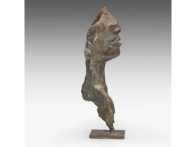 Jan desmarets (1961), two heads, artist proof, n° iv/iv 35.5 cm. (13.98 in.) - afbeelding 6 van  9