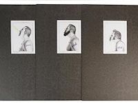 Jan fabre - 3 luik - afbeelding 1 van  1