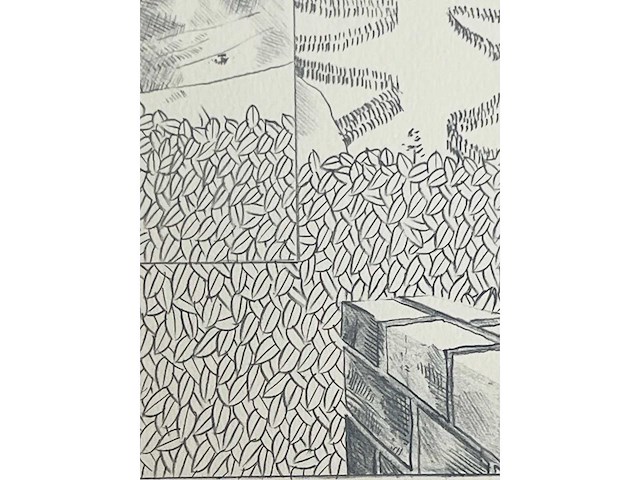 Jan vanriet - lithografie - afbeelding 6 van  7