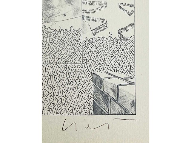 Jan vanriet - lithografie - afbeelding 7 van  7