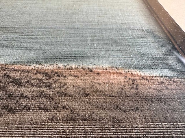 Japanese yuzen birodo velvet painting - afbeelding 16 van  27