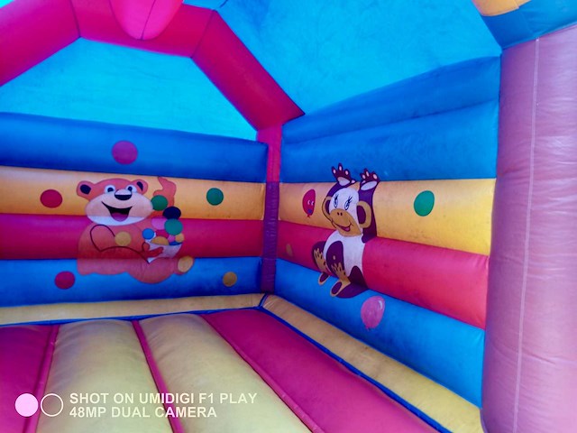 Jb springkasteel “aap" - afbeelding 3 van  5