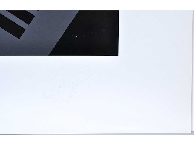 Jean-pierre lowie - zeefdruk - afbeelding 3 van  7