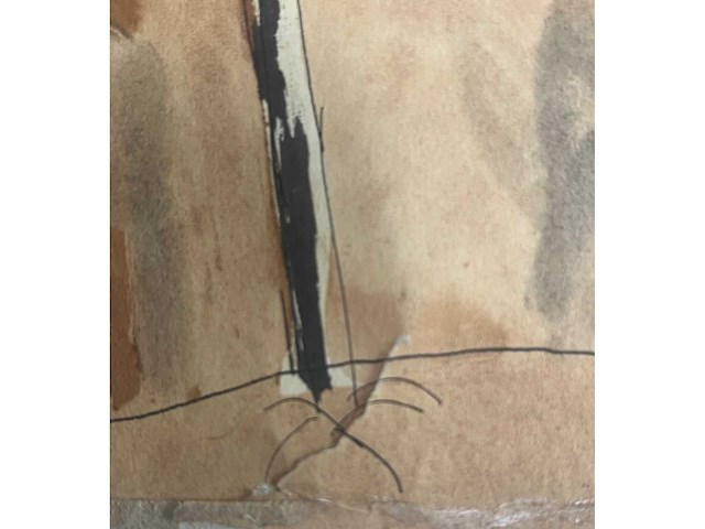 Jeanot bürgi - la crucifixion - aquarel - lage instelprijs - afbeelding 4 van  6