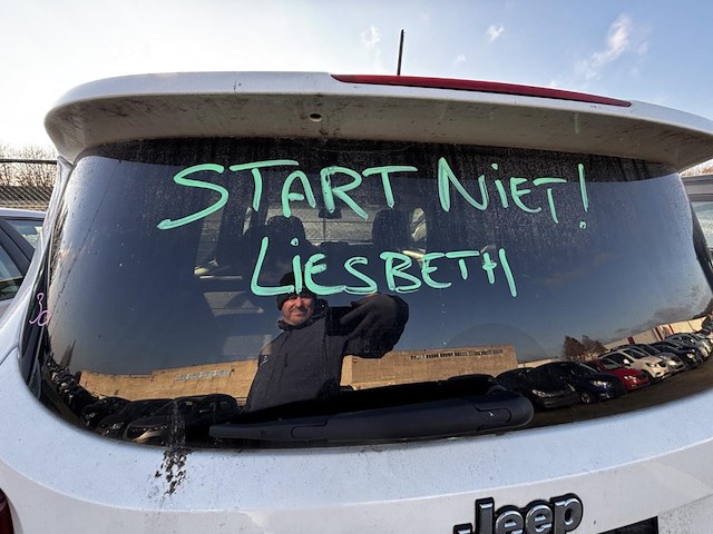 Jeep renegade limited, 2019 - afbeelding 24 van  27