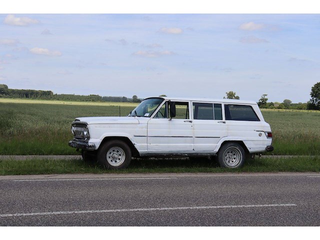 Jeep wagoneer benzine 1969 (marge) - afbeelding 1 van  1