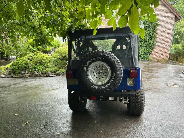 Jeep willys vintage auto's > 15 - afbeelding 34 van  40