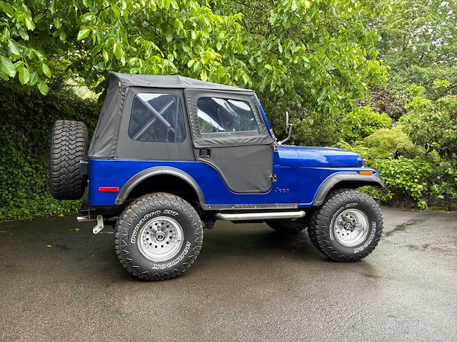 Jeep willys vintage auto's > 15 - afbeelding 37 van  40