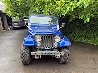 Jeep willys vintage auto's > 15 - afbeelding 38 van  40
