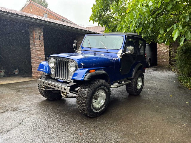 Jeep willys vintage auto's > 15 - afbeelding 1 van  40