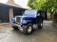 Jeep willys vintage auto's > 15 - afbeelding 1 van  40