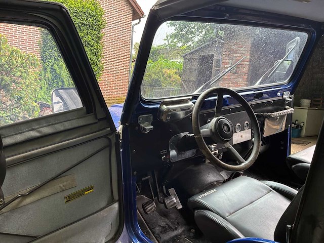 Jeep willys vintage auto's > 15 - afbeelding 20 van  40