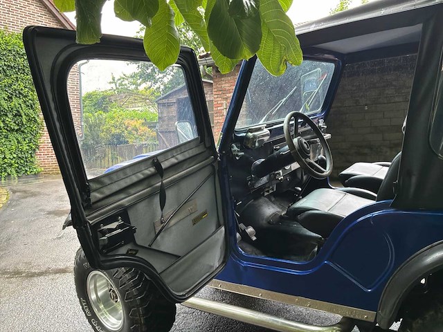 Jeep willys vintage auto's > 15 - afbeelding 21 van  40