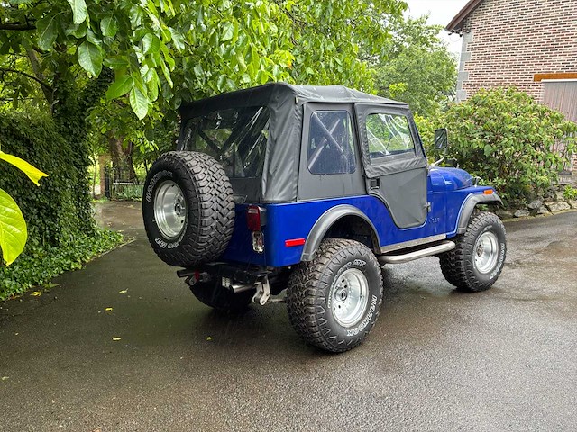 Jeep willys vintage auto's > 15 - afbeelding 36 van  40